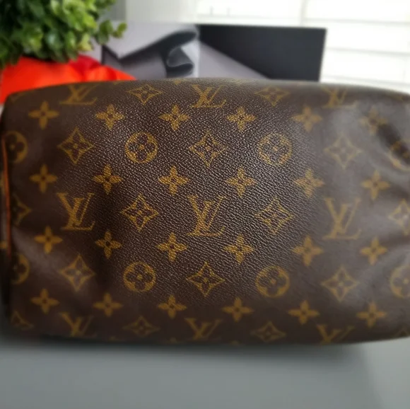 LOUIS VUITTON Classic Speedy25Monogram pr